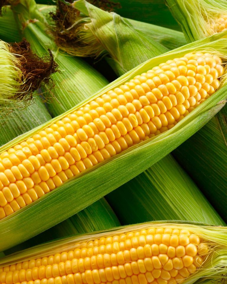 Maizamarillo