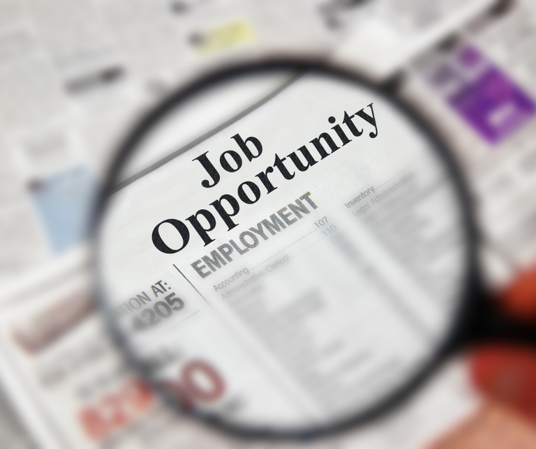 Búsqueda de empleo 