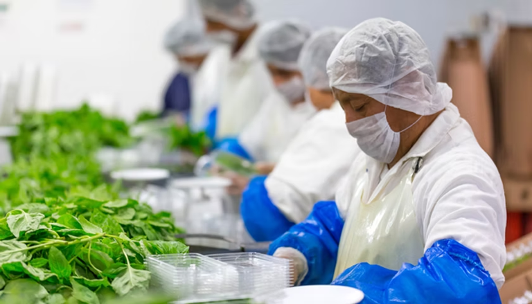 Inocuidad, tradición y salud: un nuevo capítulo para la agroindustria mexicana